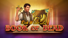 Book of Dead Slot im Amonbet Casino